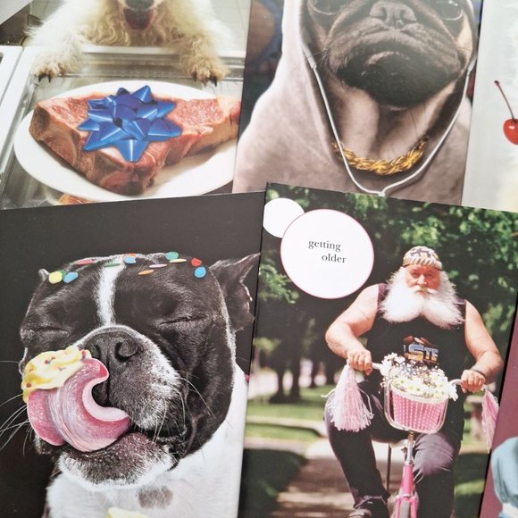 Viabella Card Variety Bundle of 12 (twelve) - Picture 2 of 7